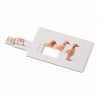 1059m-06-4GB Creditcard. USB flash 4GB