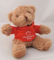 7375m-05 Pluszowy miś w koszulce