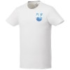 38024013f Męski organiczny t-shirt Balfour L Male