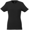 38025993f Damski organiczny t-shirt Balfour L Female