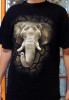 3541c-10_XXL T-shirt Unisex