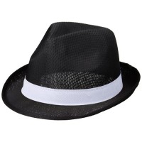 11107011f Trilbyset