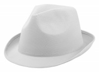 119879c-01 kapelusz