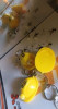 065980c-02 Brelok KASK budowlany i LED