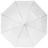 10903900f Przejrzysty parasol automatyczny 23''